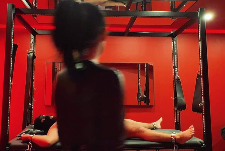 Beine breit für CBT! von Blackdiamoond