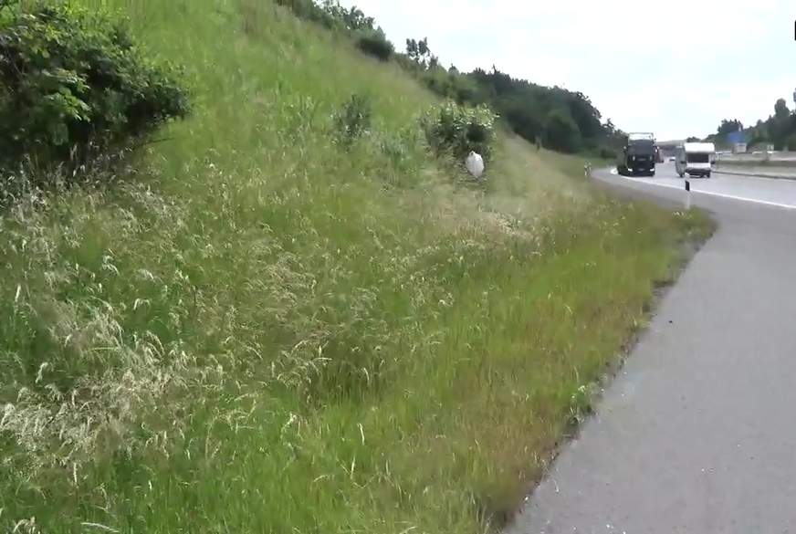 1 mal OUTDOOR g******n von Lucy_rush pic4