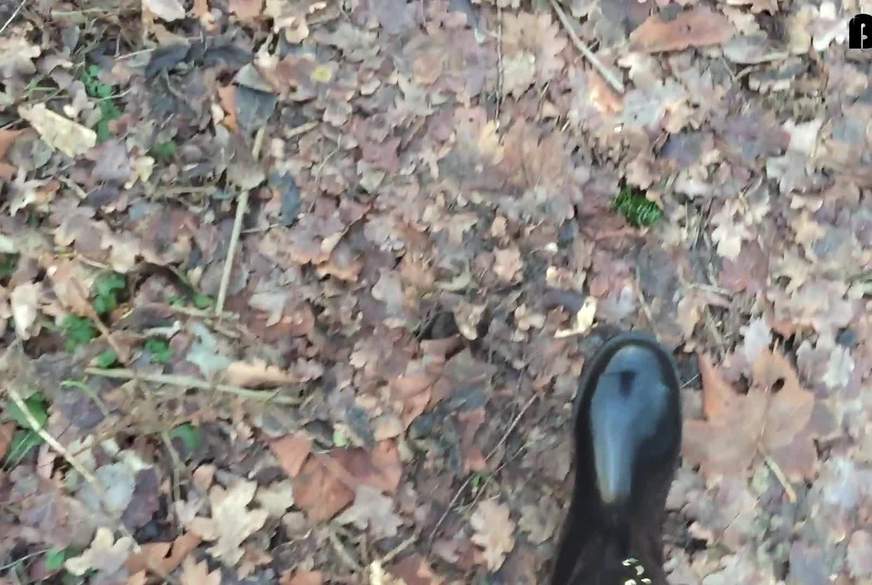 LatexDave1990: Ich laufe in Gummistiefeln durch de Natur