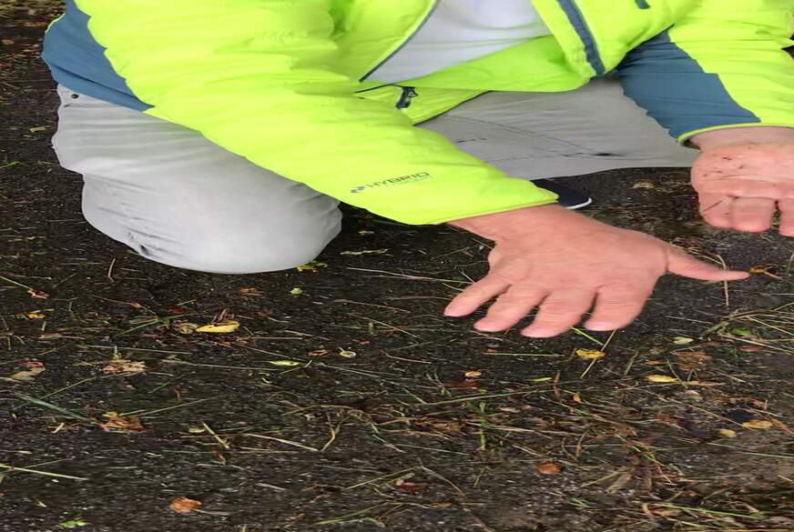 KNIE NIEDER !! von Lady-Melinda