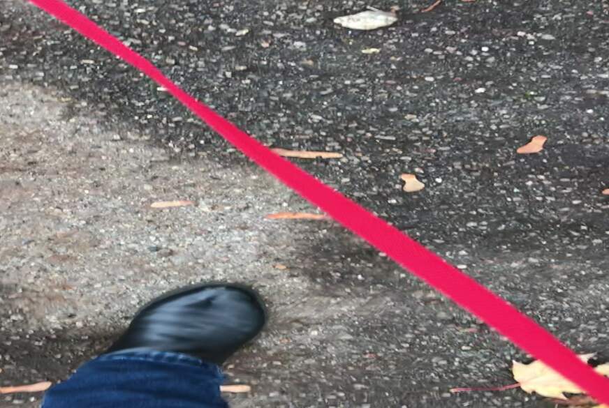 Der Sklave an meiner Leine von Lady-Melinda