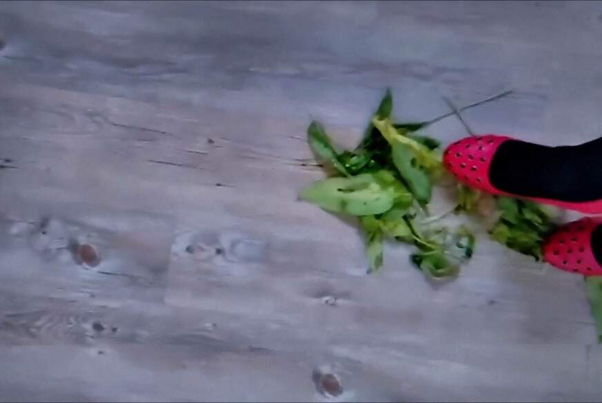 MilfSonja: C******g BIO- Gemüse!!!