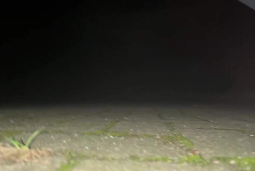 Bunnygirl99: Outdoor SB