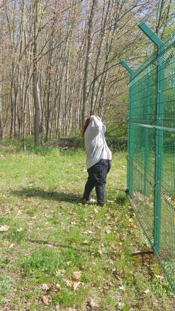 Ein Strip in der freien Natur