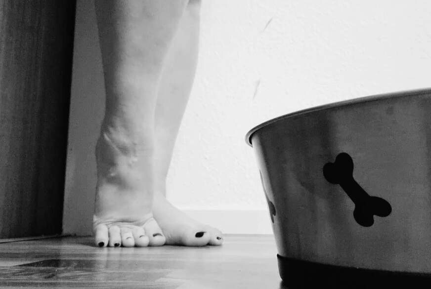 XXX Fetisch Video-Adventskalender XXX Türchen 2 von LiesaBDSM pic3