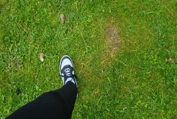 Fetisch im Park Turnschuhe, weiße Socken, nackte Füße