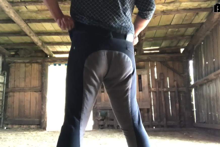 Reithosen runter.. läuft im Stall von KimVanDyke