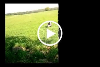 … von Weitem wirkt vieles harmlos… ruhig… fast unschuldig. Aber manchmal reicht genau dieser eine Moment, in dem man nicht mehr wegschaut… und plötzlich entwickelt sich etwas... das man vorher nicht geplant hat. Ich glaube… genau da wurde es interessant.