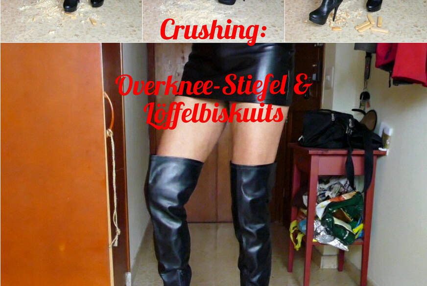 C******g. Overknee Stiefel und Löffelbiskuits von lyn