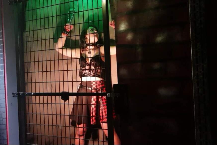 Emily ist im Stehkäfig Geparkt von Dom-Paar pic1