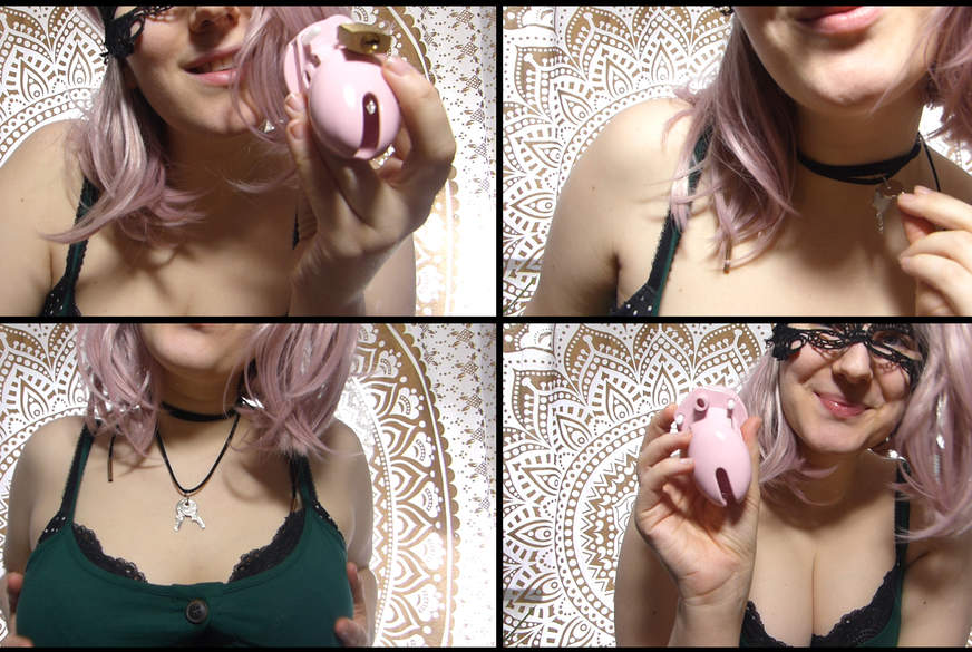 Du kommst in den Käfig von LaMoon