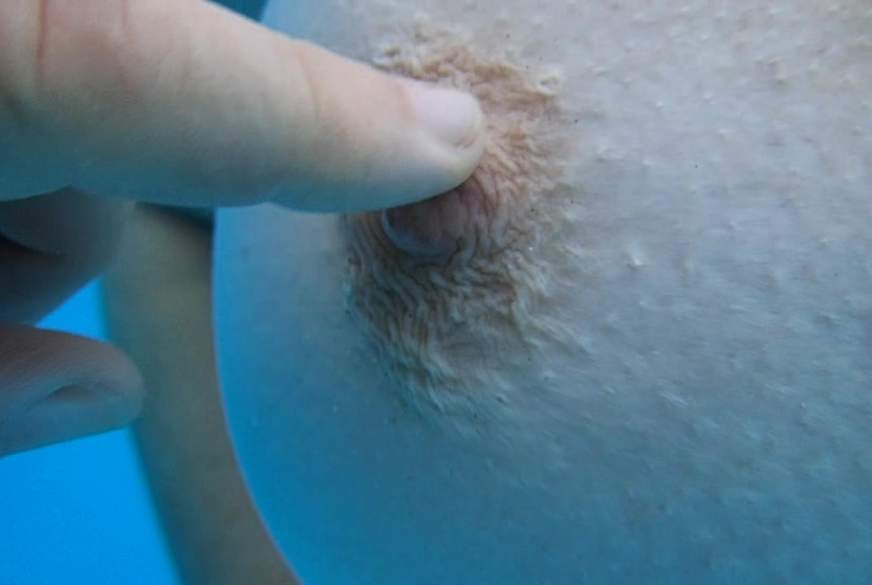 er konnte seine F****r nicht bei sich lassen - Nippel Spiele von MilfUlrike pic4