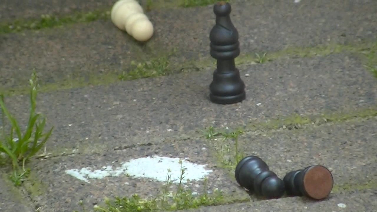 das blöde Schachspiel...das nervte mich schon lange..anstelle sich mit mir zu beschäfftigen spielte er damit..jetzt ist aber SCHLUSS und am ende piss ich seine Figuren noch voll