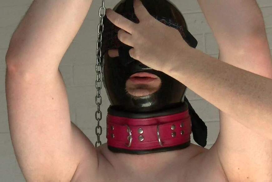 Sklavenerziehung er muss noch viel lernen von MegaTitten pic2