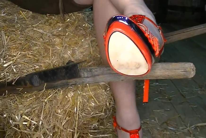 Ländliche Fantasien von MegaTitten pic2