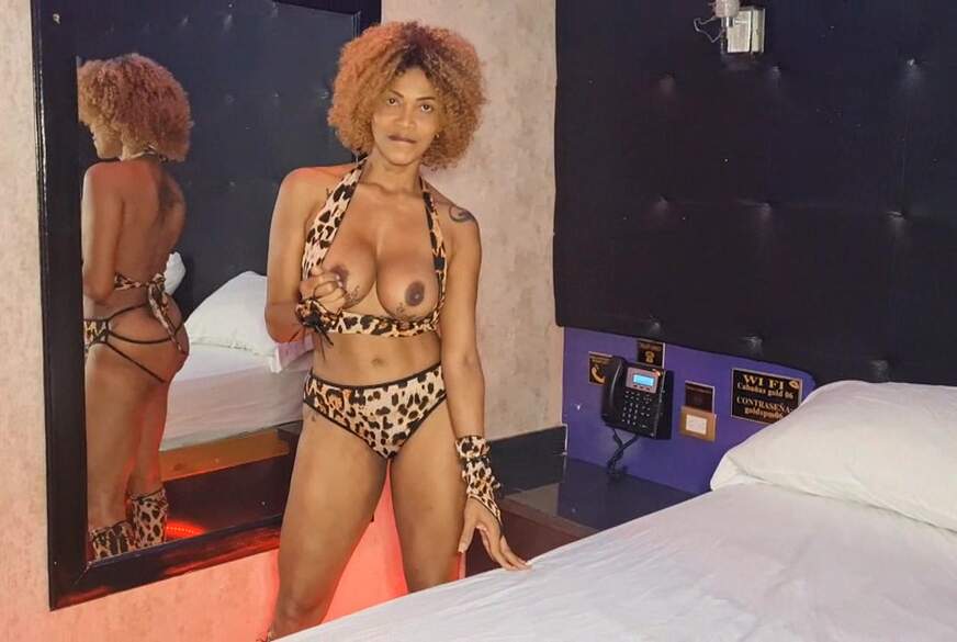 Schokobebe: Schokobebe als Wildkatze im Sexy Leoparden Dress