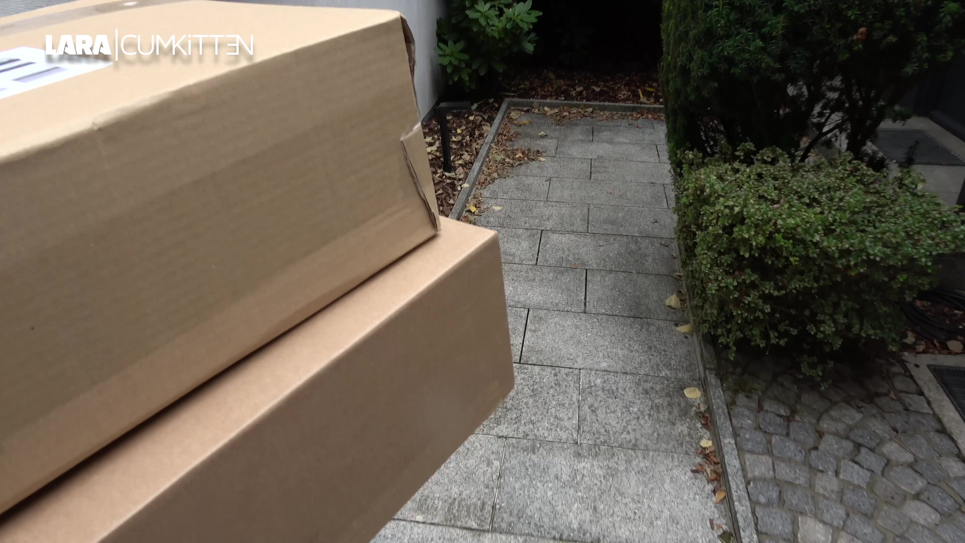 Ich werde auch nicht jünger und so langsam wird es echt Zeit für mich endlich geschwängert zu werden. Der Paket Zusteller kommt natürlich genau dann, wenn ich es mir gerade heftig selbst besorge. Sein Gesicht, als ich ihm mit offenem Bademantel, nackt nur mit Halterlosen die Tür öffne... unbezahlbar. Völlig verlegen stottert er nur irgendwas von wegen, dass ich ihm irgendwo her bekannt vorkomme. Ich sag ihm, komm doch rein... Beine breit und fickbereit liege ich vor ihm auf der Couch und bettel ihn an mich ohne Gummi zu ficken. Das ist jetzt SEINE einmalige Chance. Er zieht seine Arbeitsklamotten aus und knallt mich sofort ohne bla bla doggy und im liegen geil durch. Ich genieße jeden Stoß und sage ihm wie geil es für mich ist. Immer wieder sage ich ihm, spritz in mir ab, bitte schwängere mich. Schließlich ist es soweit und er kann es nicht mehr aufhalten. Sein Sperma schießt in meine nasse, zuckende Fotze. Als er seinen seinen Ständer raus zieht, tropft seine Ficksahne a