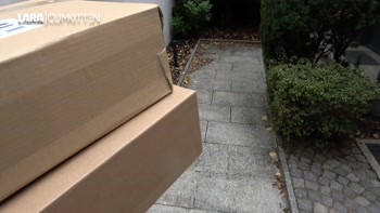 CREAMPIE FICK - Endlich schwanger??