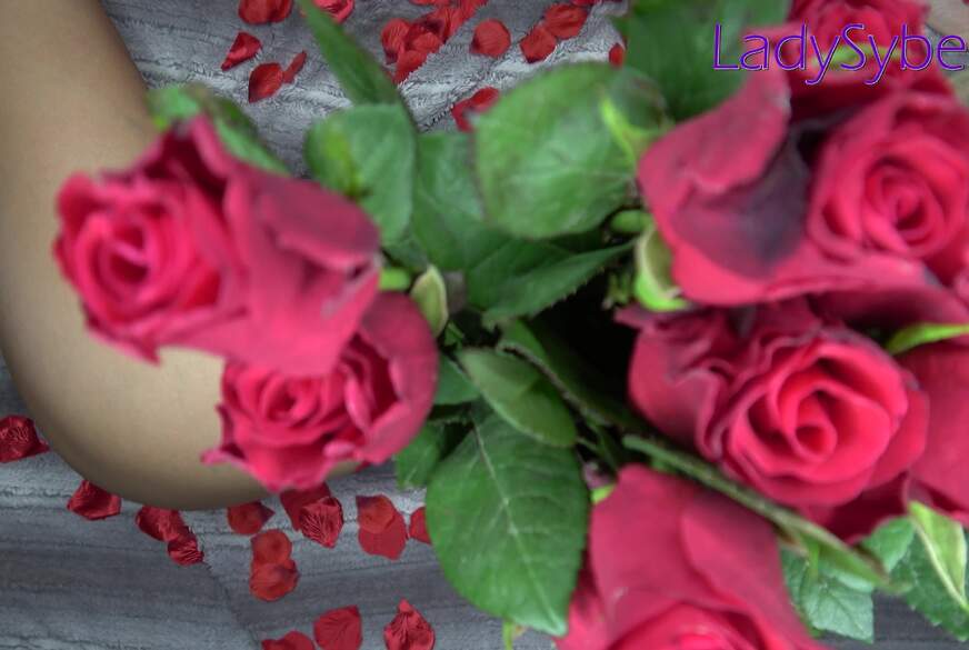 C*****d Fantasy - F*******k am Valentinstag von LadySybella pic1