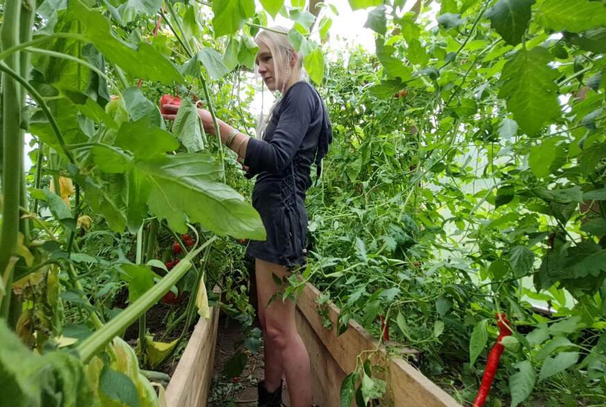 Geile Triebe im Gewächshaus.Was wächst dann hier alles? von Lilaia