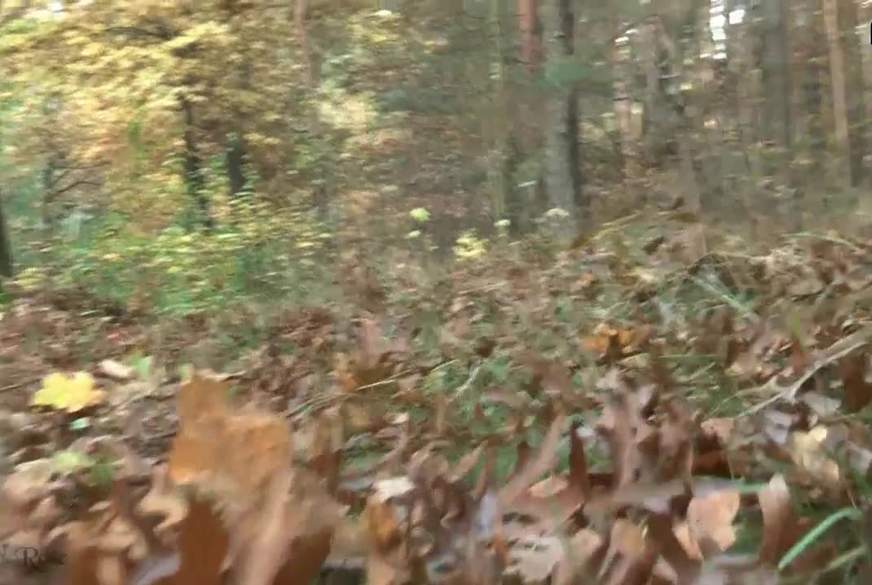 Halloween von AnnikaRose pic1