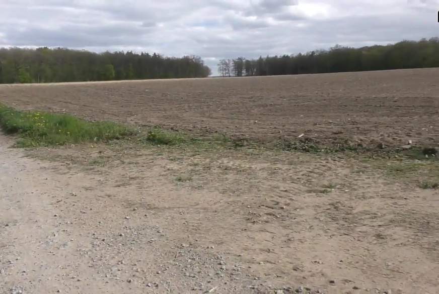 100 Prozent Natur! NS-Fontäne im Wald! von TatjanaYoung pic3