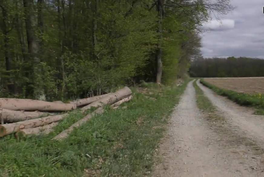 100 Prozent Natur! NS-Fontäne im Wald! von TatjanaYoung pic4