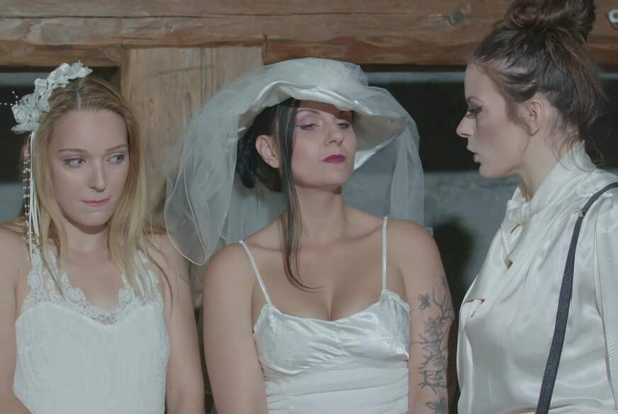 Brides get s***ked von NovaNilla pic4