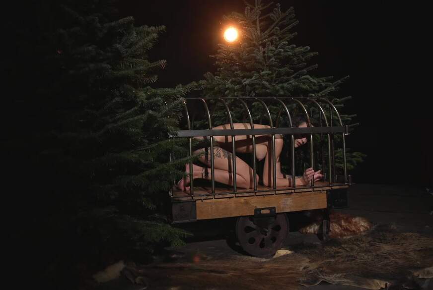 NovaNilla: S*****n B**wjob im Wald