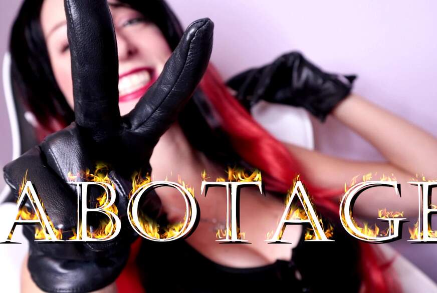 H**********g - Sabotage Nr. 2 von JanaLogan