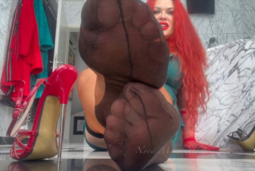 Du bist doch nur ein kleiner Betas*****z von NoraMarinelli