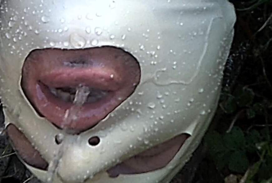 MAUL AUF von DIEDUNKLEMEL pic1