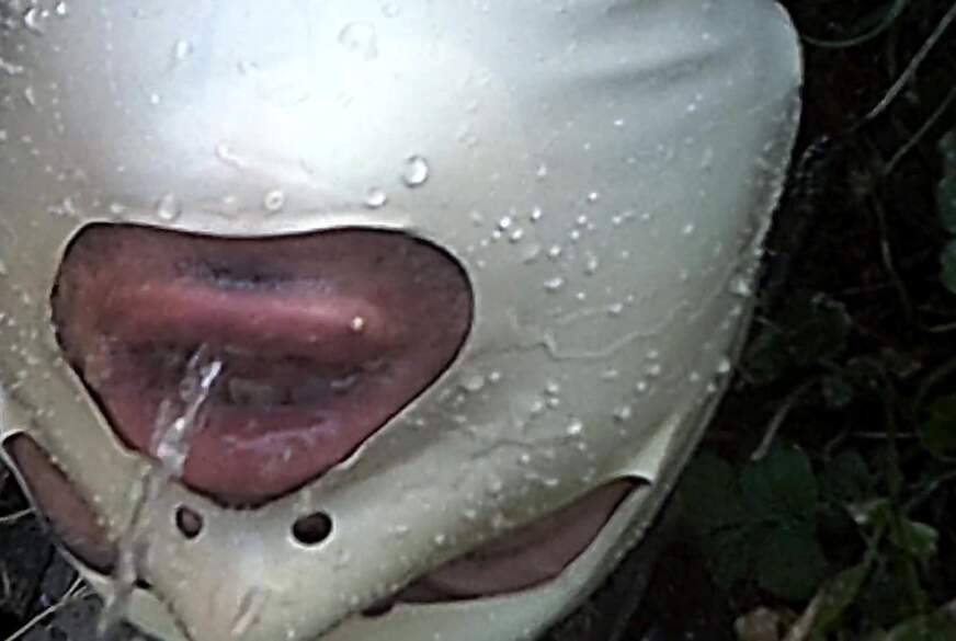 MAUL AUF von DIEDUNKLEMEL pic2