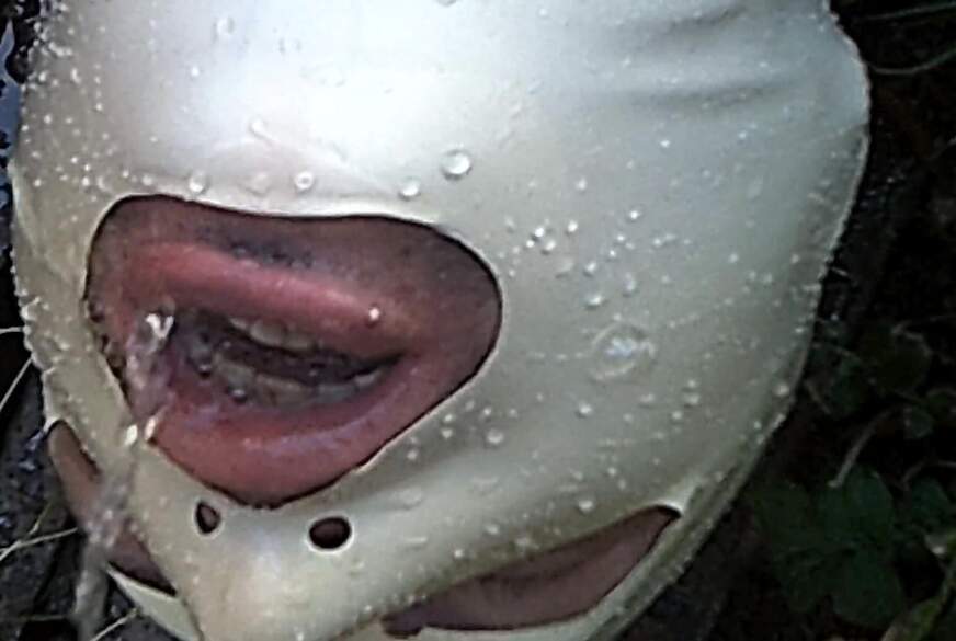 MAUL AUF von DIEDUNKLEMEL pic3