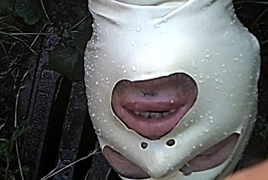 MAUL AUF von DIEDUNKLEMEL pic4