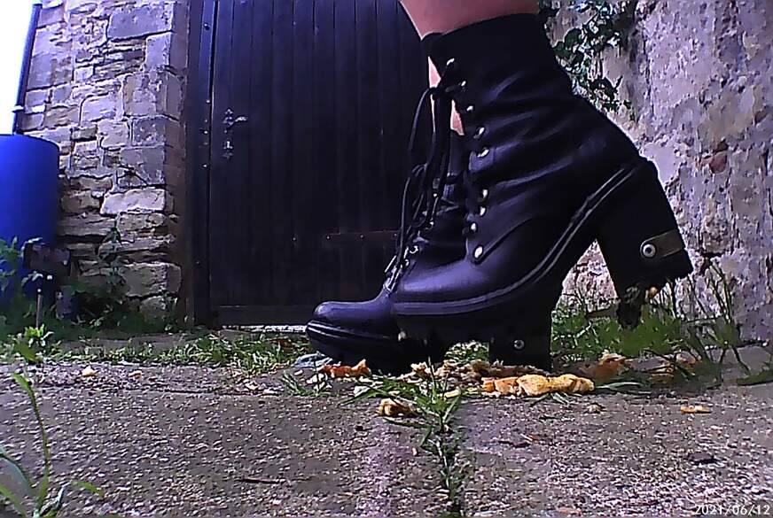 NEWROCKS APFELMUS von DIEDUNKLEMEL pic4