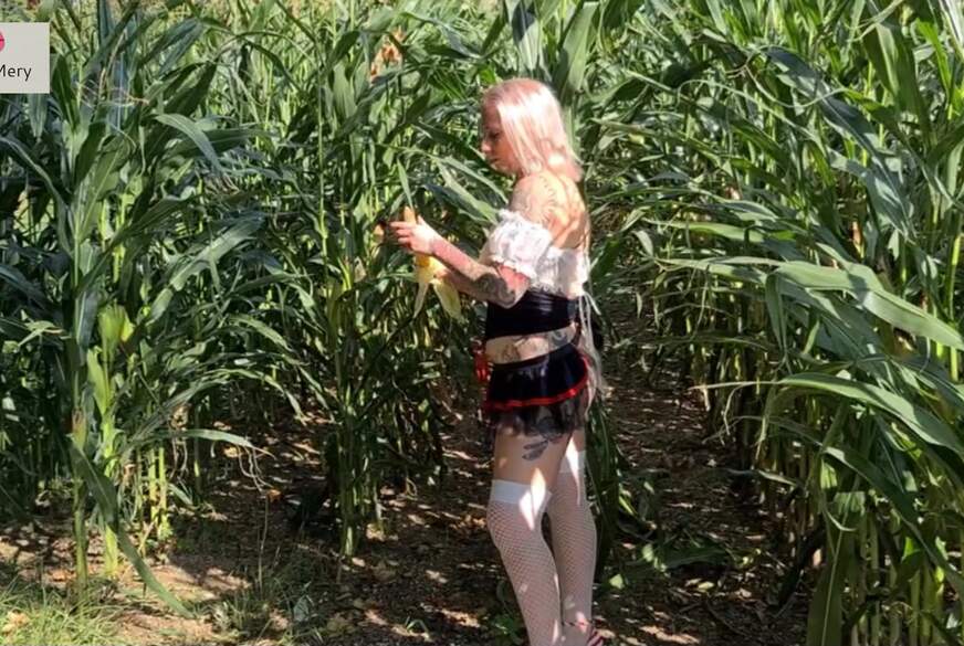 SweetMery: Spass im Maisfeld - Der Maisk****n muss herhalten
