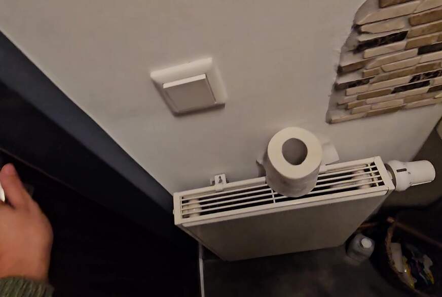Marry-Meridaa: Heimlich auf dem Gäste WC meiner Freundin...