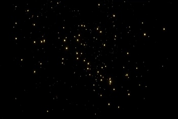 A********en Training Extrem  Endlich wieder a**l!