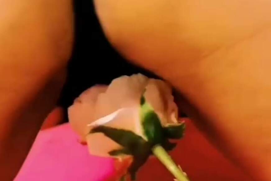 FionaFaith: Mein A***h wird Gestreichelt