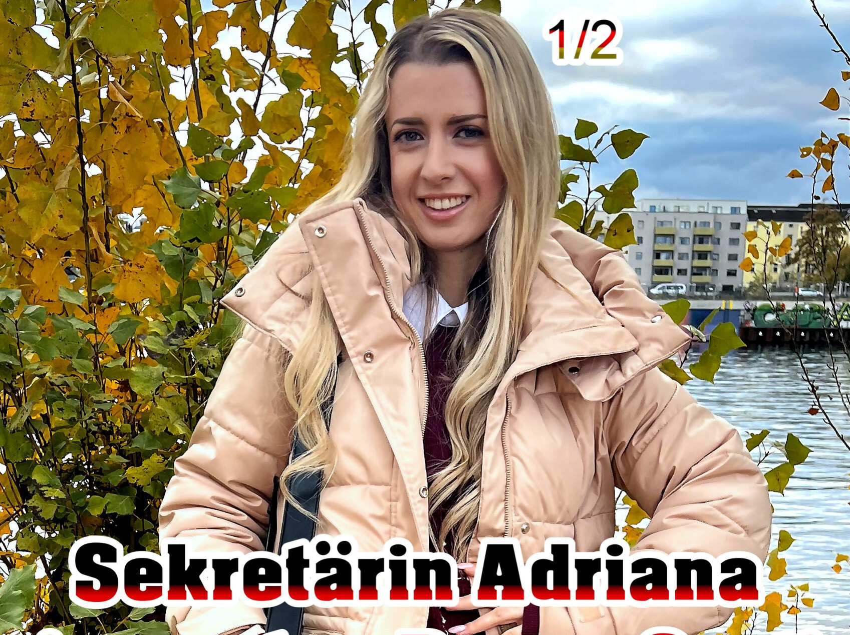 Bei kühlem Wetter hier in Berlin kam ich mit einer blonden Sekretärin ins Gespräch.  Sie war gerade auf dem Heimweg von der Arbeit und hatte etwas Zeit. Schnell konnte ich sie von ein paar Bilder an Ort und Stelle überzeugen. Schnell wurde sie locker und wir beschlossen weitere Bilder bei mir zu machen. Bei mir angekommen stand sie bald, nach weiteren Bildern, in schwarzen Nylons vor mir. Sie war schlank und mit einem runden Arsch, aber noch etwas schüchtern. Aber bald lächelte sie mich an und führte meine Hand an ihre Brust. Jetzt ging es ganz schnell und sie ging auf die Knie und holte mein Ding raus. Schön tief lutschte sie, bevor ich ihn blank reinsteckte. So trieben wir es in mehreren Stellungen. Und nach einem geilen Rimjob bekam sie meine Ladung ins Gesicht.