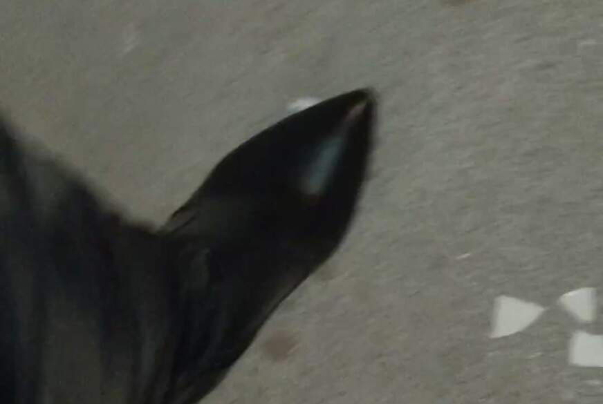 Na willst du unter diesen Absätzen liegen? von MissShiny pic3