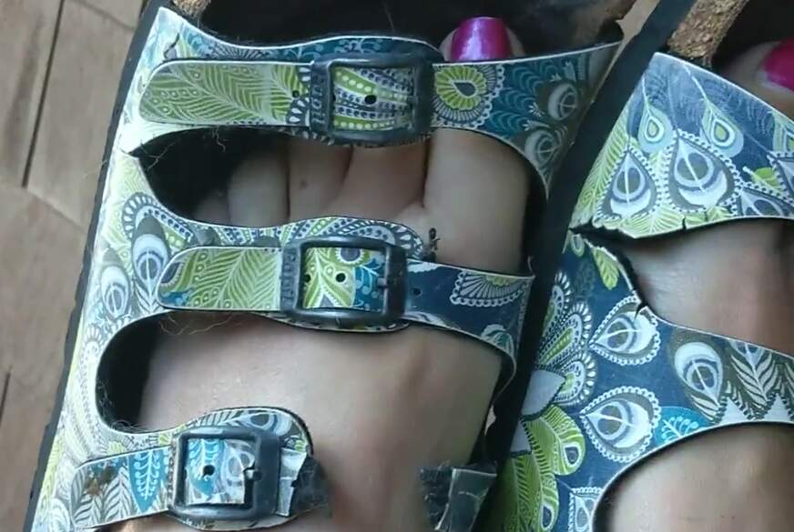 MissShiny: Birkisfetisch