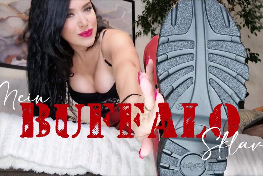 JOI    Mein Buffalo  Sklave von MadameSvea