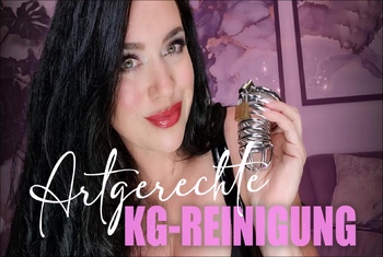 Artgerechte KG-Reinigung