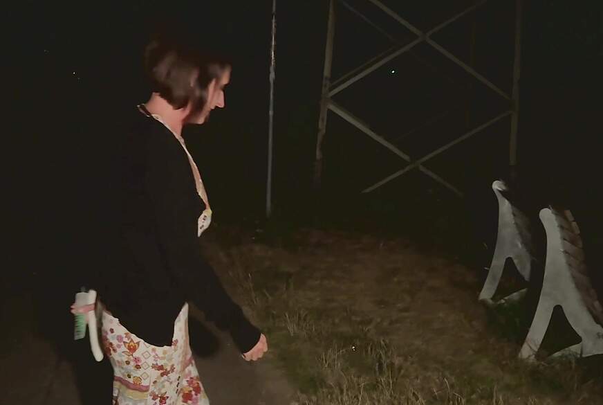 Verbotene Lust im nächtlichen Park . Ganz allein auf der Bank von Zora-Enn pic1