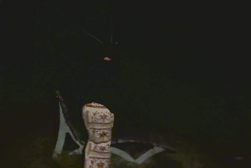 Verbotene Lust im nächtlichen Park . Ganz allein auf der Bank von Zora-Enn pic3