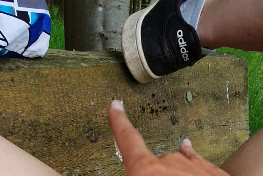 auf der bank im wald von Luna77